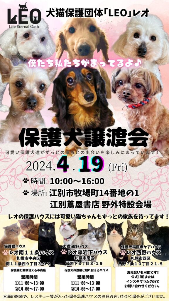 札幌犬猫譲渡会が開催されます