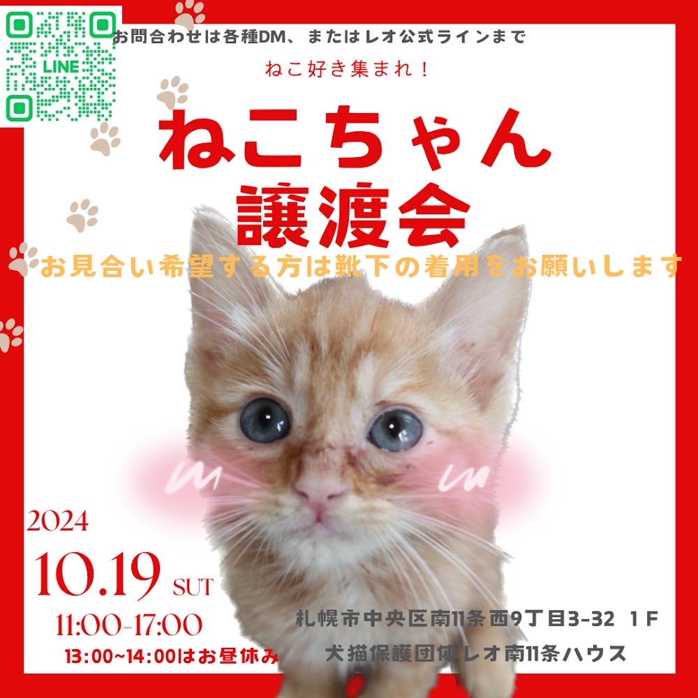 札幌譲渡会