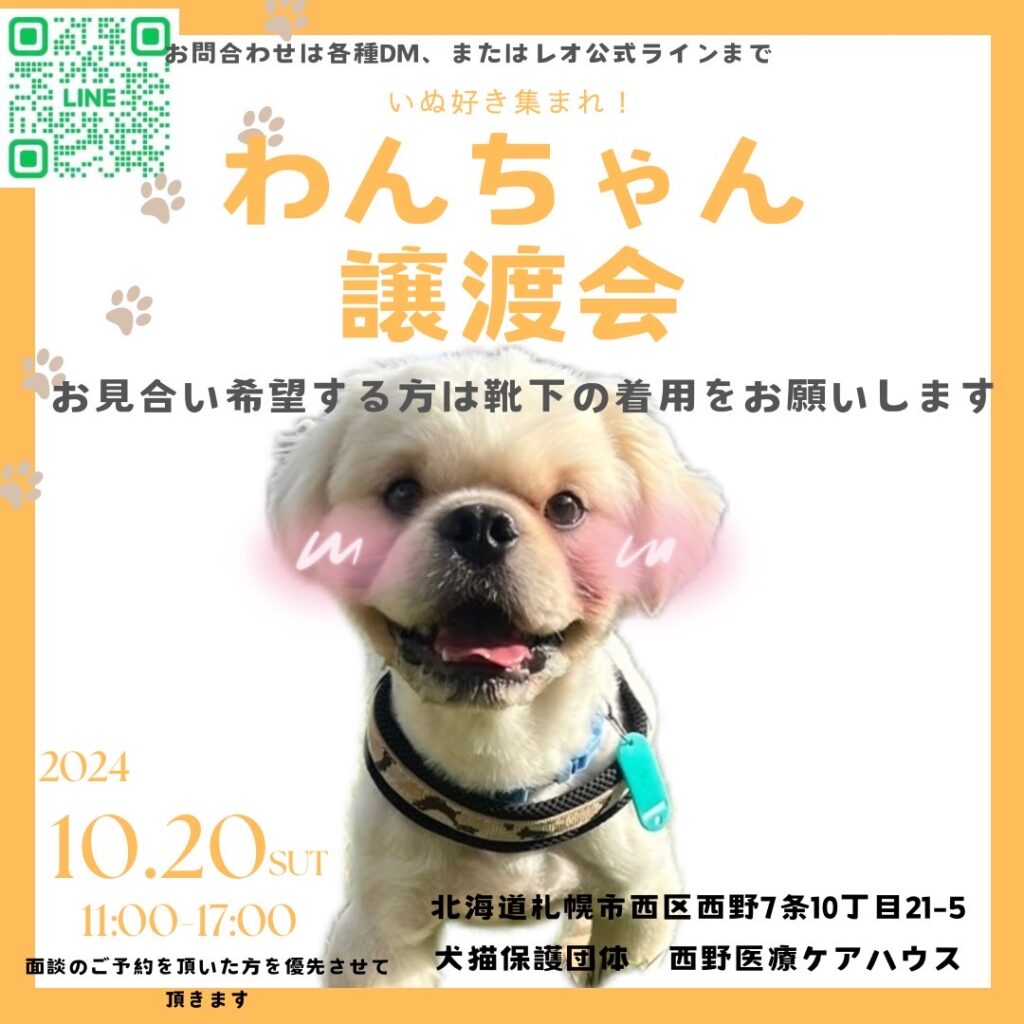犬譲渡会