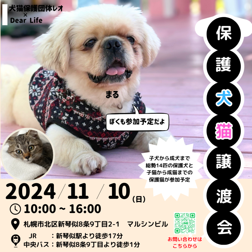 札幌譲渡会11月10日