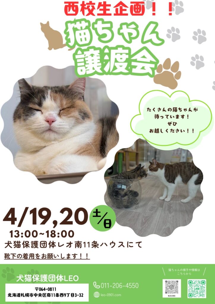 札幌保護猫譲渡会 4月19日20日