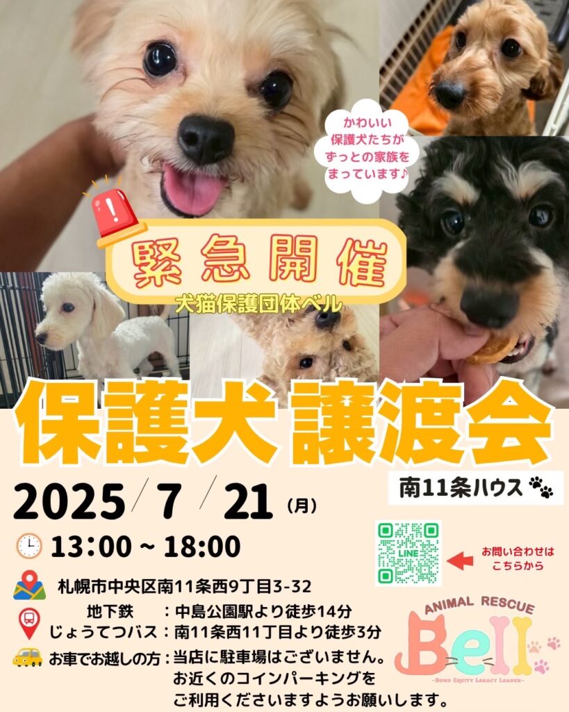 札幌 保護犬 譲渡会