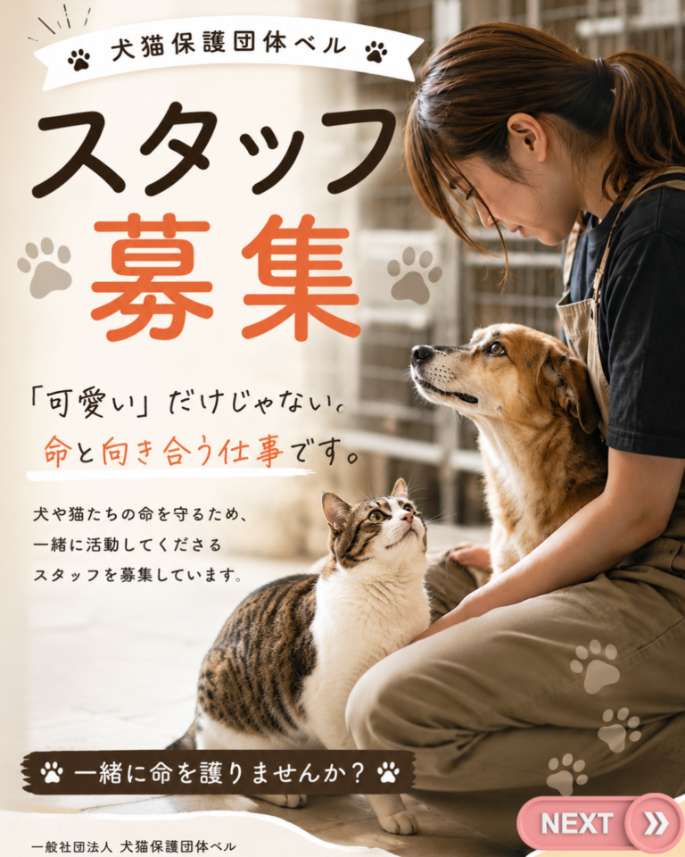 札幌求人募集